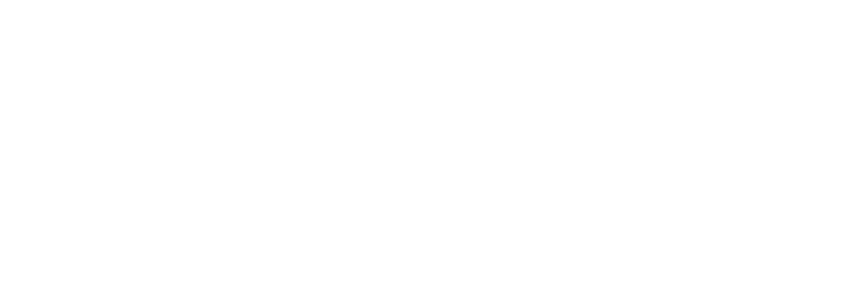 Vardan Logo Footer